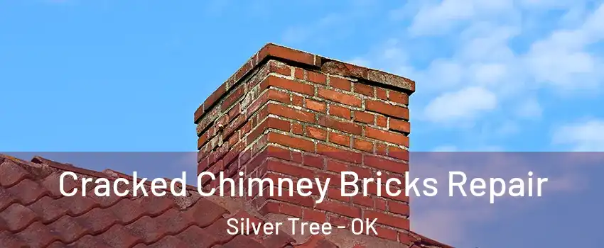 Cracked Chimney Bricks Repair Silver Tree - OK
