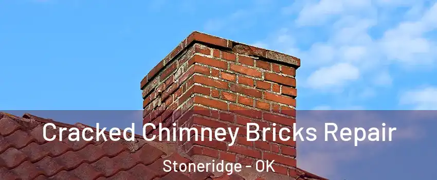 Cracked Chimney Bricks Repair Stoneridge - OK