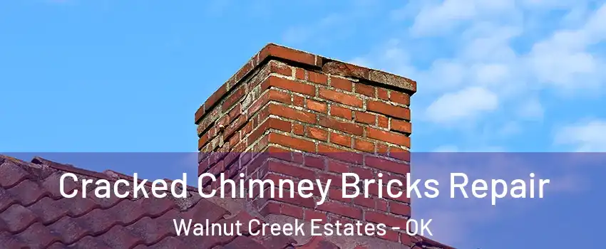 Cracked Chimney Bricks Repair Walnut Creek Estates - OK