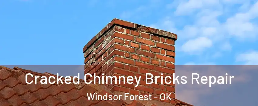 Cracked Chimney Bricks Repair Windsor Forest - OK