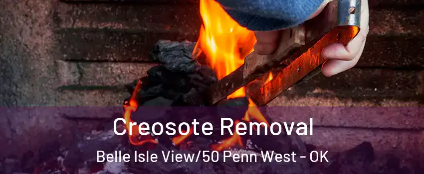 Creosote Removal Belle Isle View/50 Penn West - OK
