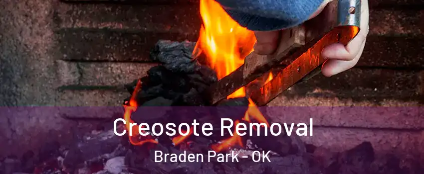 Creosote Removal Braden Park - OK