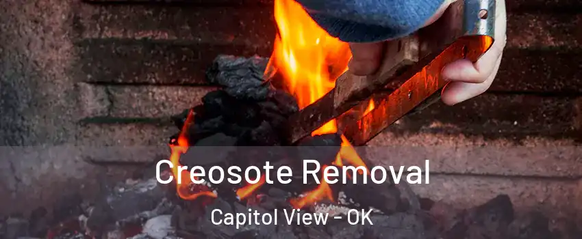 Creosote Removal Capitol View - OK