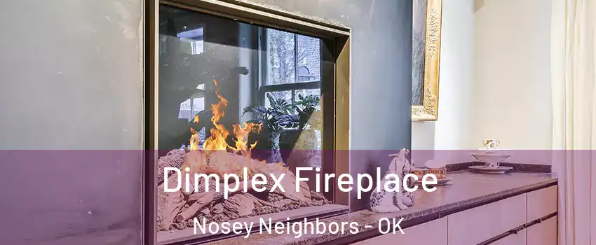 Dimplex Fireplace Nosey Neighbors - OK