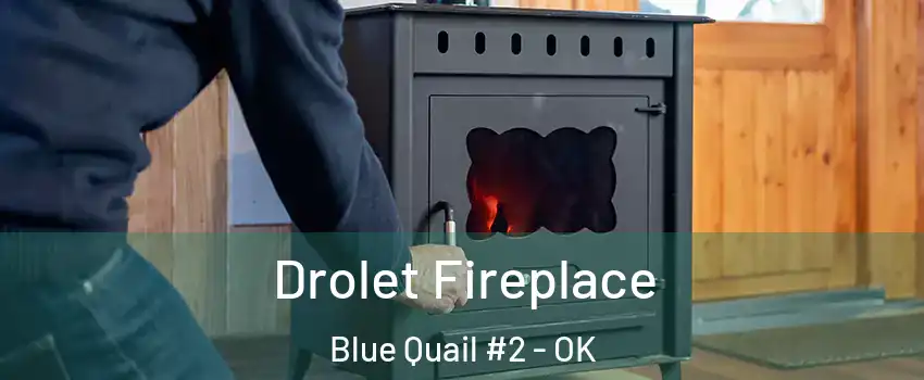 Drolet Fireplace Blue Quail #2 - OK