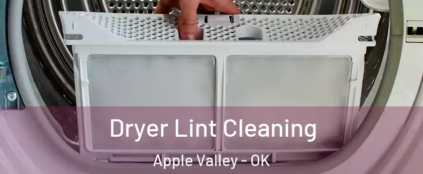 Dryer Lint Cleaning Apple Valley - OK