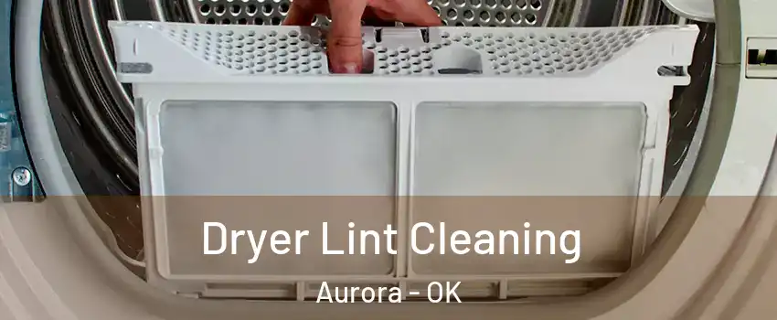 Dryer Lint Cleaning Aurora - OK