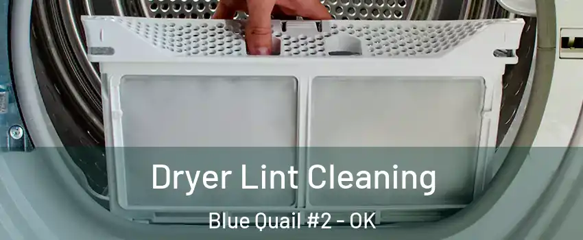 Dryer Lint Cleaning Blue Quail #2 - OK