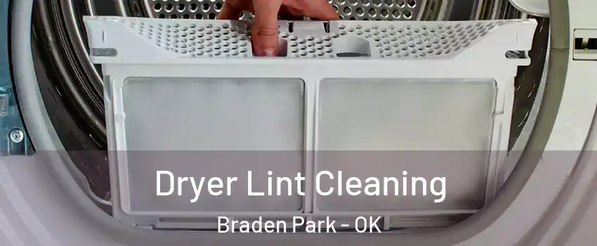 Dryer Lint Cleaning Braden Park - OK