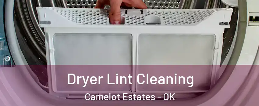 Dryer Lint Cleaning Camelot Estates - OK