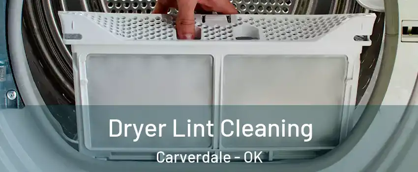 Dryer Lint Cleaning Carverdale - OK