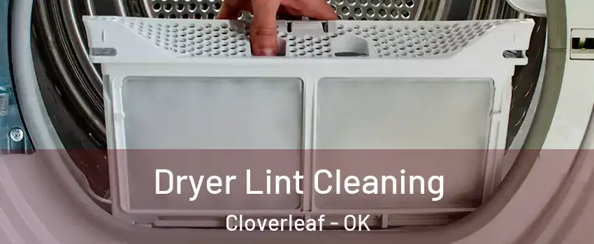 Dryer Lint Cleaning Cloverleaf - OK