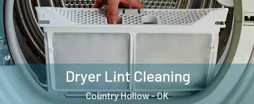 Dryer Lint Cleaning Country Hollow - OK