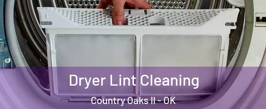 Dryer Lint Cleaning Country Oaks II - OK
