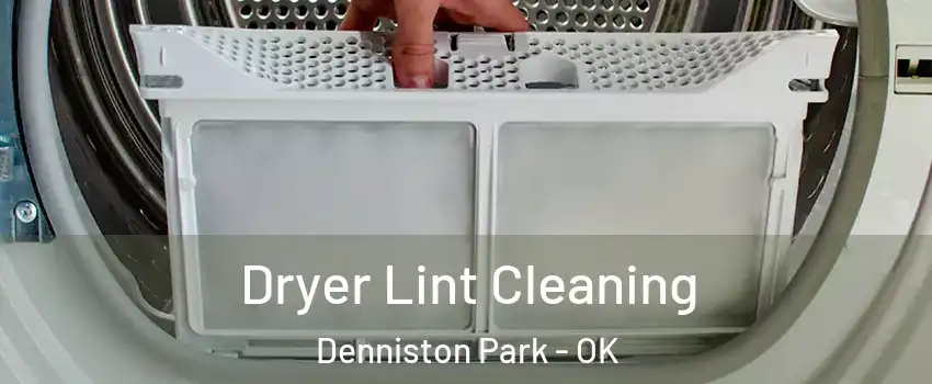 Dryer Lint Cleaning Denniston Park - OK