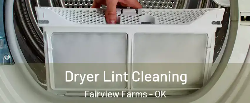 Dryer Lint Cleaning Fairview Farms - OK