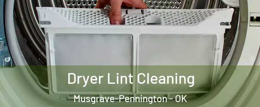 Dryer Lint Cleaning Musgrave-Pennington - OK