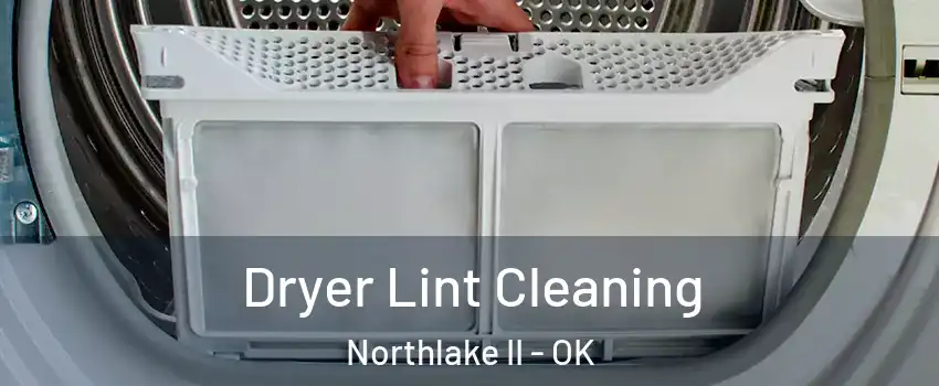 Dryer Lint Cleaning Northlake II - OK