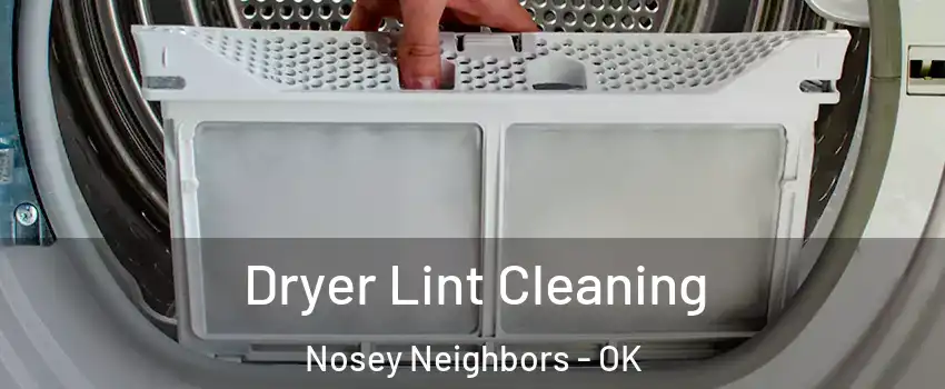 Dryer Lint Cleaning Nosey Neighbors - OK