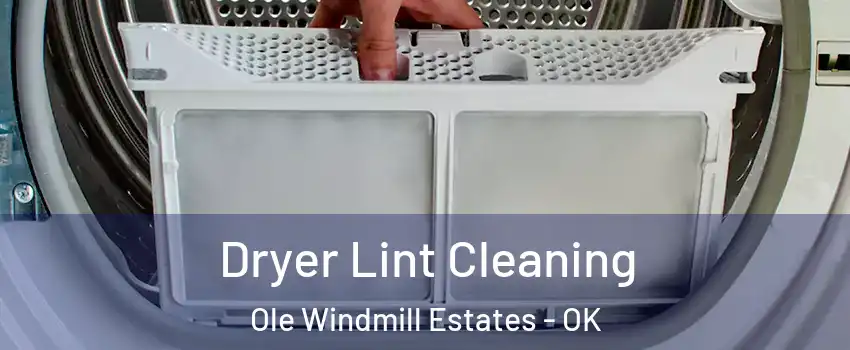 Dryer Lint Cleaning Ole Windmill Estates - OK