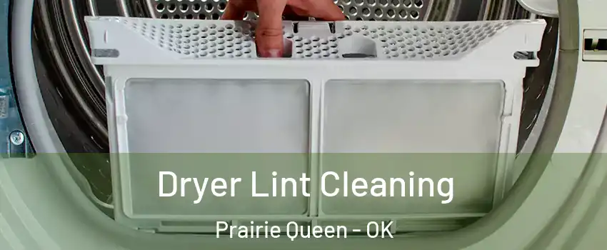 Dryer Lint Cleaning Prairie Queen - OK