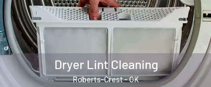Dryer Lint Cleaning Roberts-Crest - OK