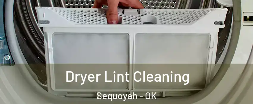 Dryer Lint Cleaning Sequoyah - OK
