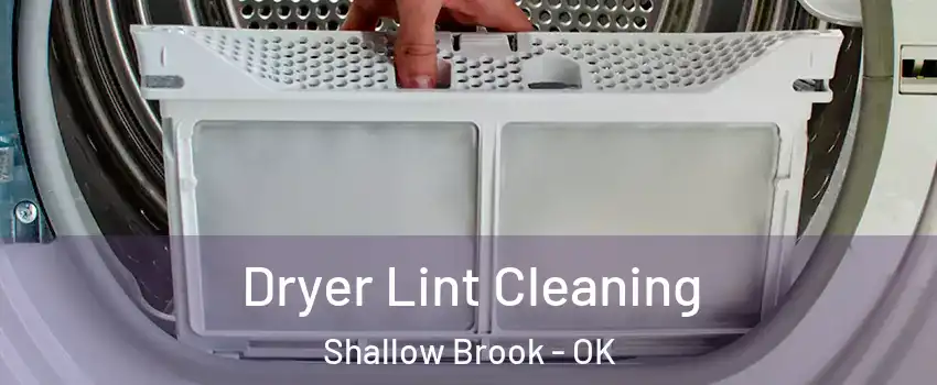 Dryer Lint Cleaning Shallow Brook - OK