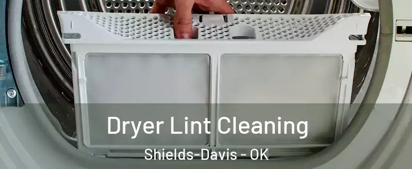 Dryer Lint Cleaning Shields-Davis - OK