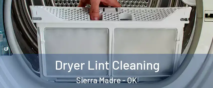 Dryer Lint Cleaning Sierra Madre - OK