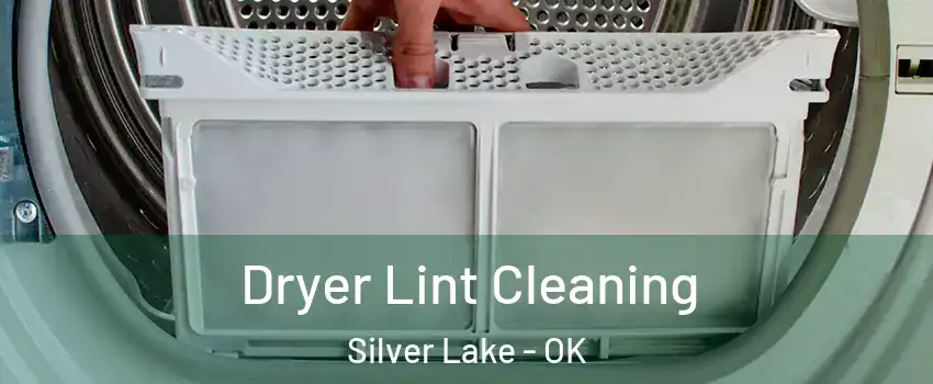 Dryer Lint Cleaning Silver Lake - OK
