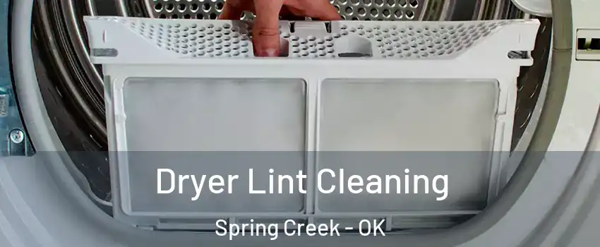 Dryer Lint Cleaning Spring Creek - OK