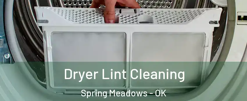 Dryer Lint Cleaning Spring Meadows - OK