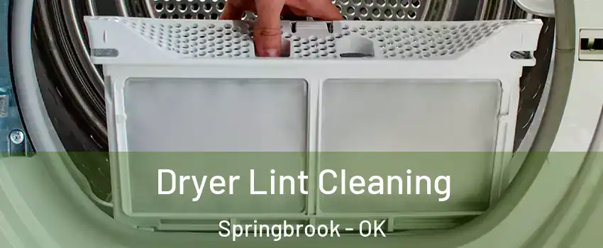 Dryer Lint Cleaning Springbrook - OK