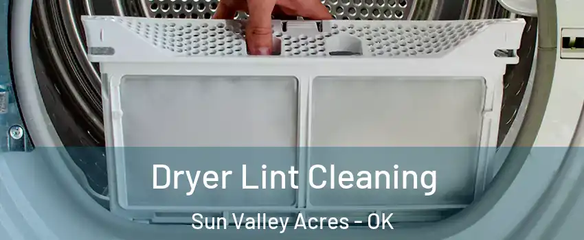 Dryer Lint Cleaning Sun Valley Acres - OK