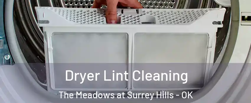 Dryer Lint Cleaning The Meadows at Surrey Hills - OK