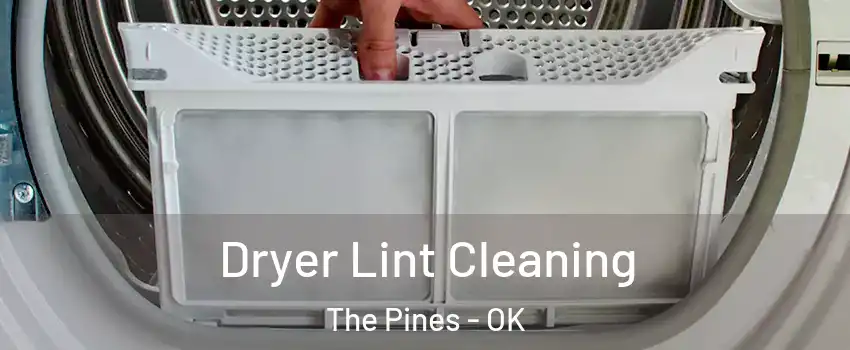 Dryer Lint Cleaning The Pines - OK