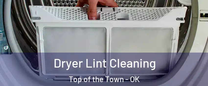 Dryer Lint Cleaning Top of the Town - OK