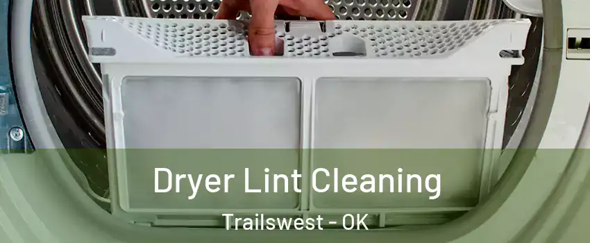 Dryer Lint Cleaning Trailswest - OK
