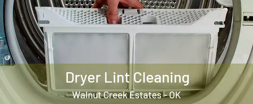 Dryer Lint Cleaning Walnut Creek Estates - OK