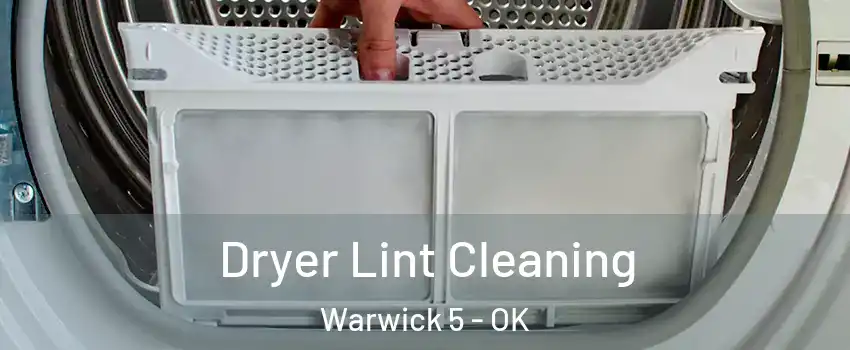 Dryer Lint Cleaning Warwick 5 - OK