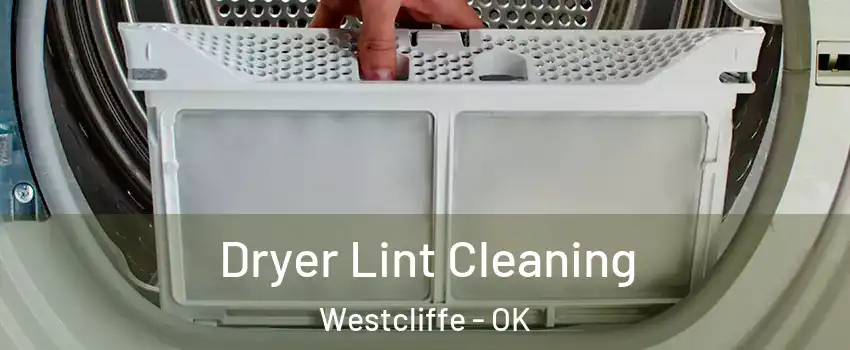 Dryer Lint Cleaning Westcliffe - OK