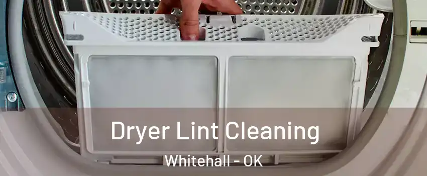 Dryer Lint Cleaning Whitehall - OK
