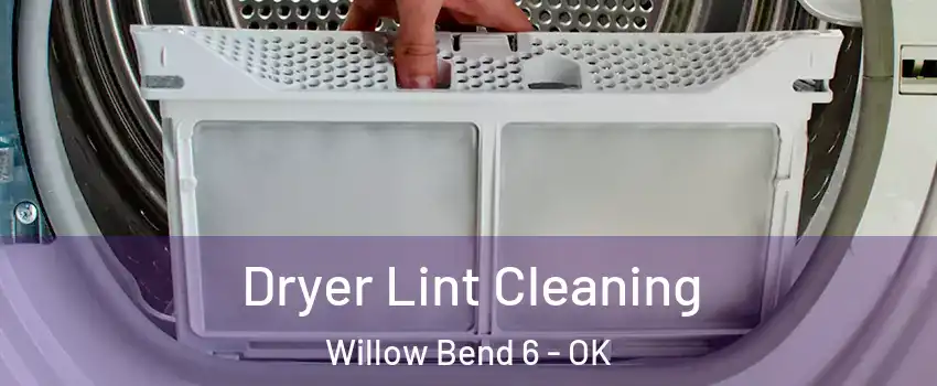 Dryer Lint Cleaning Willow Bend 6 - OK