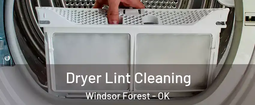 Dryer Lint Cleaning Windsor Forest - OK