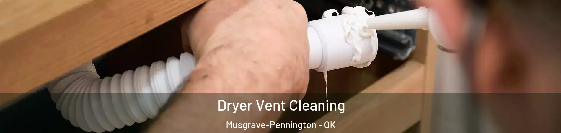 Dryer Vent Cleaning Musgrave-Pennington - OK