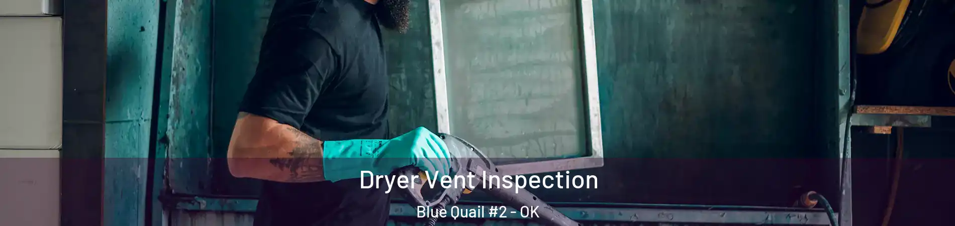 Dryer Vent Inspection Blue Quail #2 - OK