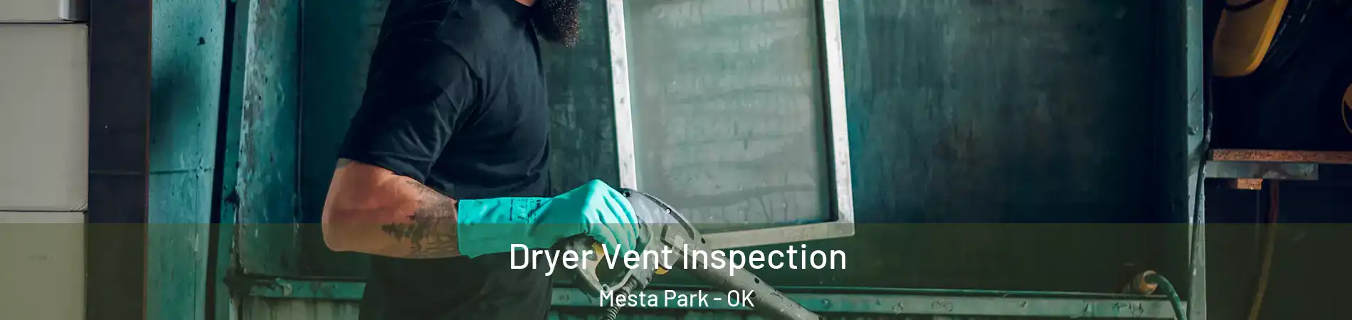 Dryer Vent Inspection Mesta Park - OK