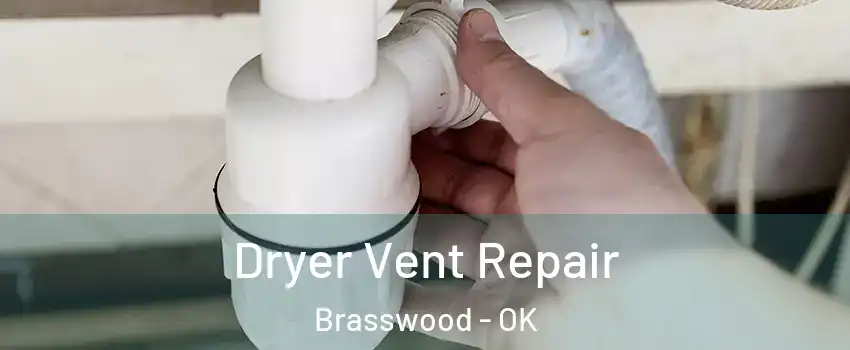 Dryer Vent Repair Brasswood - OK