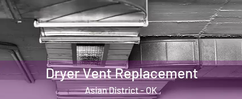 Dryer Vent Replacement Asian District - OK